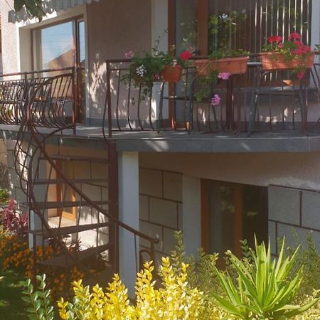Kyurkchievi Guest House Saparewa Banja Zewnętrze zdjęcie