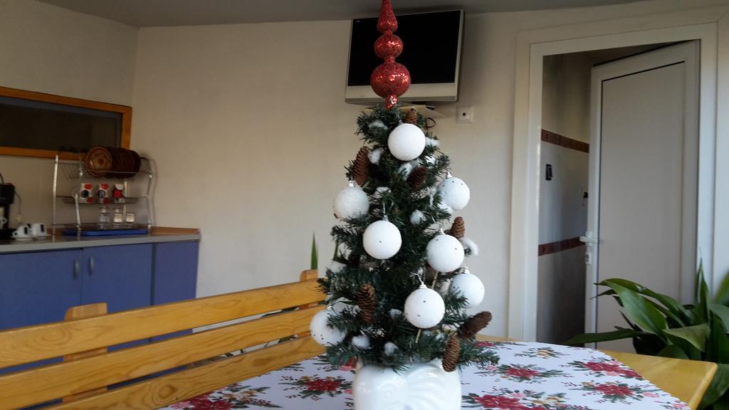 Kyurkchievi Guest House Saparewa Banja Zewnętrze zdjęcie