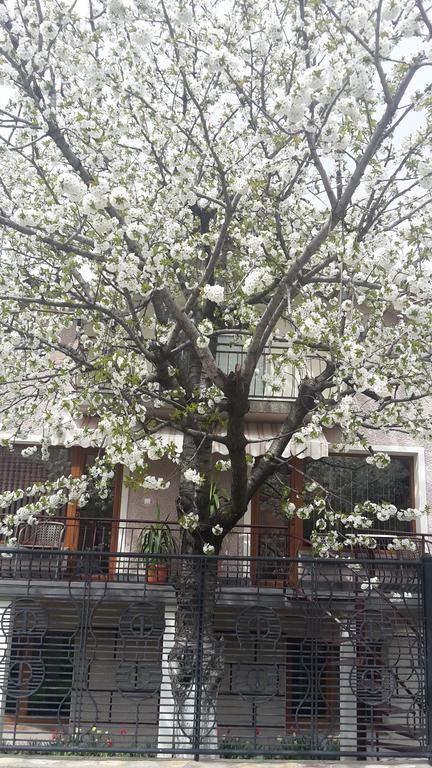 Kyurkchievi Guest House Saparewa Banja Zewnętrze zdjęcie