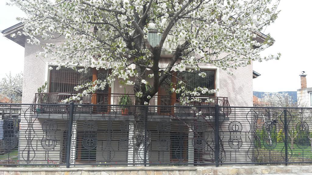 Kyurkchievi Guest House Saparewa Banja Zewnętrze zdjęcie