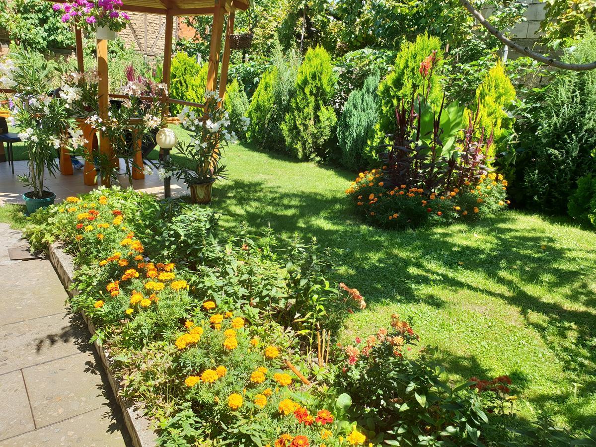 Kyurkchievi Guest House Saparewa Banja Zewnętrze zdjęcie