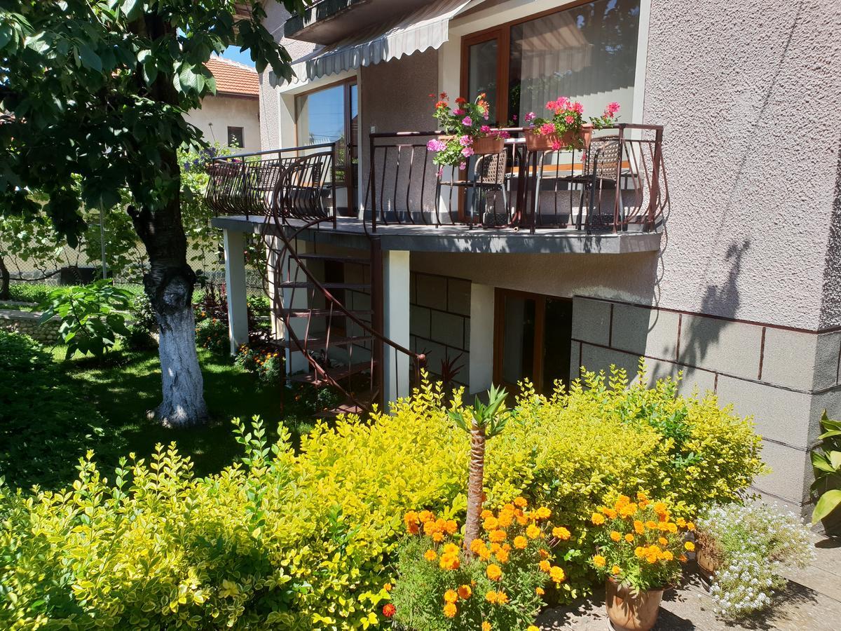 Kyurkchievi Guest House Saparewa Banja Zewnętrze zdjęcie