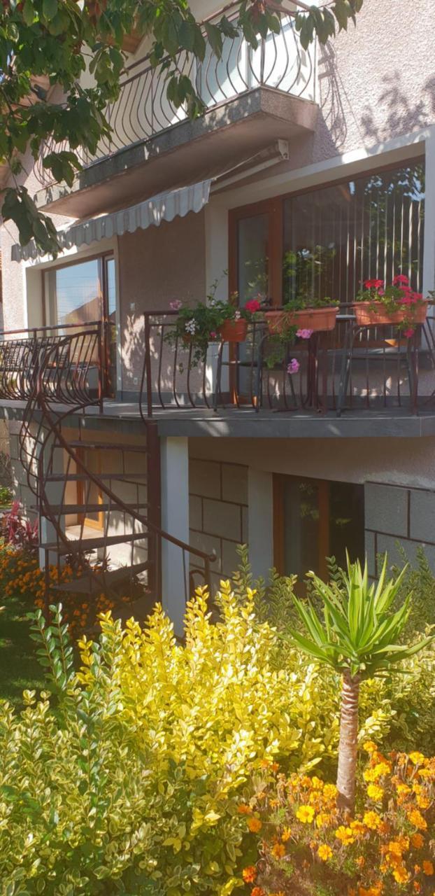 Kyurkchievi Guest House Saparewa Banja Zewnętrze zdjęcie